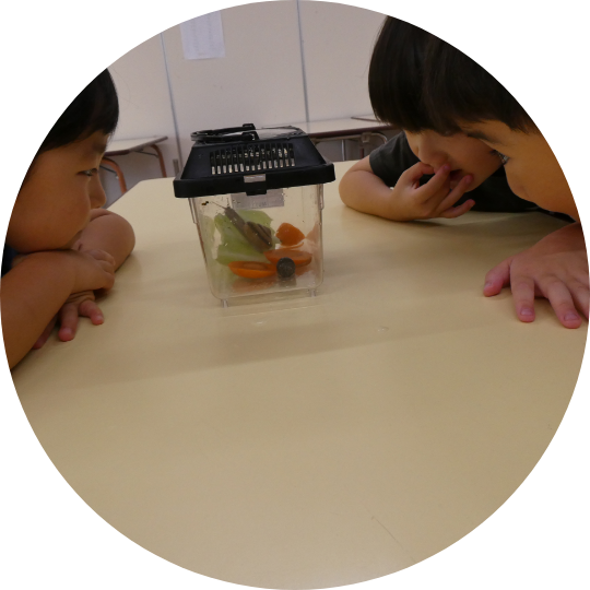 未来へつよくはばたく子どもを育成する